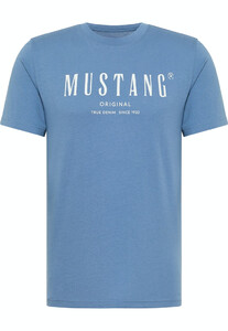 Mustang heren T-shirt 1013802-5169