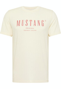Mustang heren T-shirt 1013802-8001