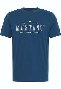 Mustang heren T-shirt 1013824-5320