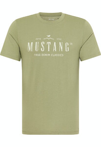 Mustang heren T-shirt 1013824-6273