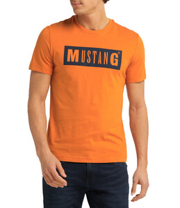 Mustang heren T-shirt 1009738-7172