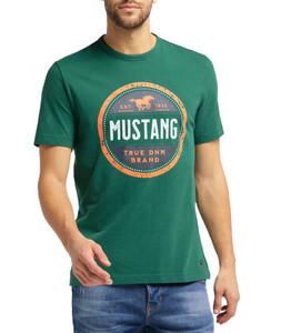 Mustang heren T-shirt 1009046-6440