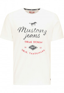 Mustang heren T-shirt 1010713-2020