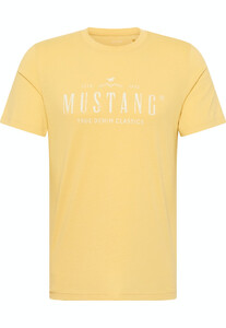 Mustang heren T-shirt 1013824-9051