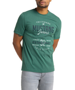 Mustang heren T-shirt 1010680-6430