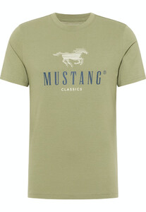 Mustang heren T-shirt 1013808-6273