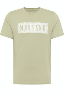 Mustang heren T-shirt 1013520-5205