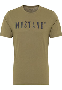 Mustang heren T-shirt 1013221-6358